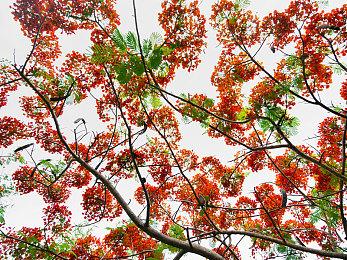 巴黎奥运会0分尬舞现已加入《使命召唤》